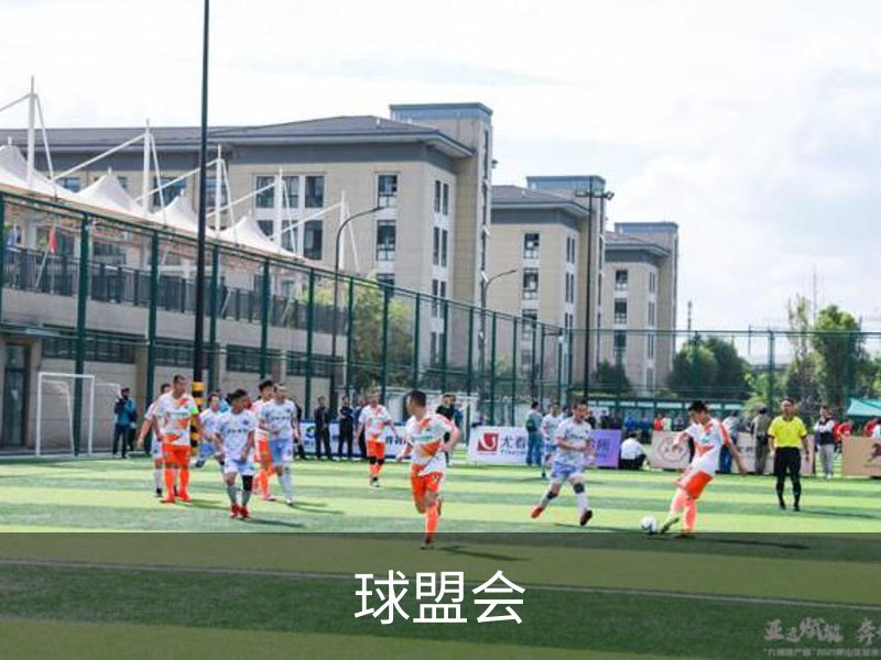 走进我们